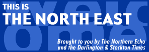 Logo: Northern Echo newspaper